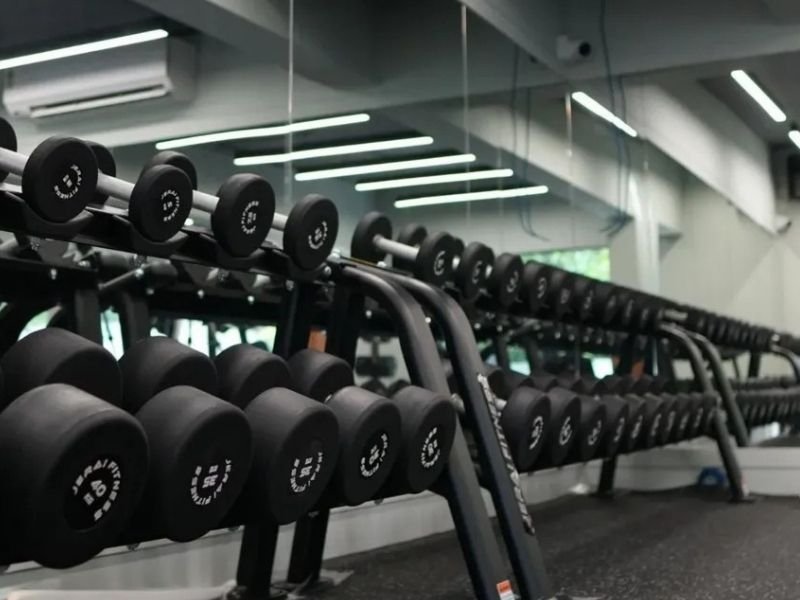 Dumbbell area